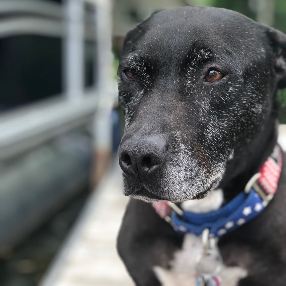 Meet your Posher, Jacqueline